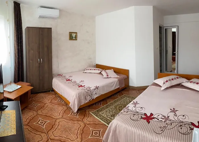 Vendégház Casa Dasoveanu 3*