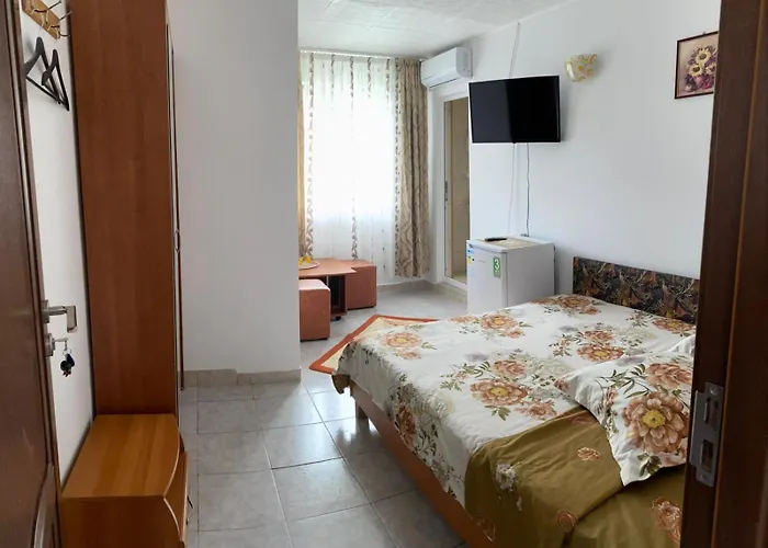 Casa Dasoveanu 3* Costinești