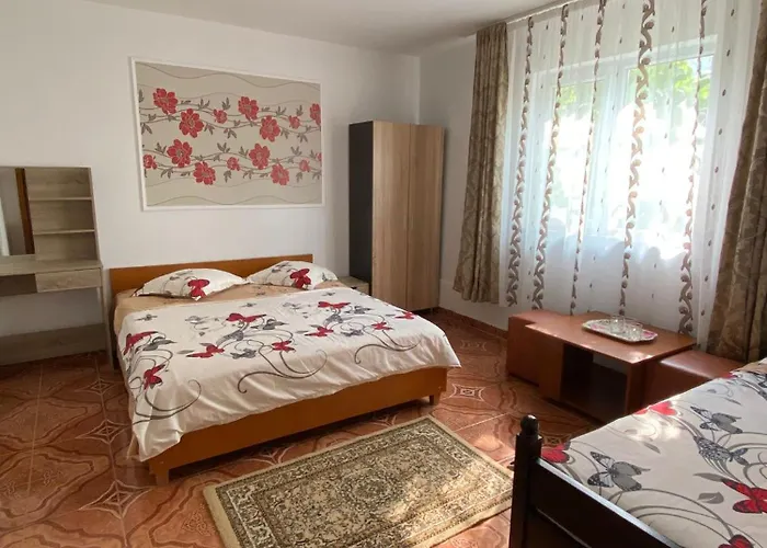 Vendégház Casa Dasoveanu 3*