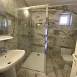 Guest house Casa Dasoveanu 3*