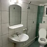 Guest house Casa Dasoveanu 3*