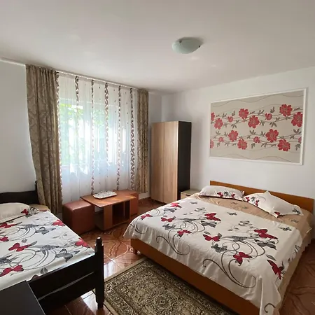 招待所 Casa Dasoveanu 科斯蒂内什蒂