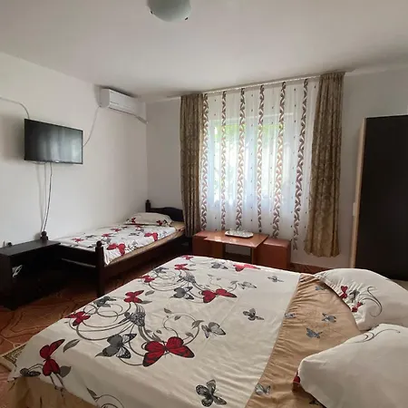 Casa Dasoveanu 招待所 *