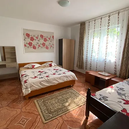 Guest house Casa Dasoveanu 3*