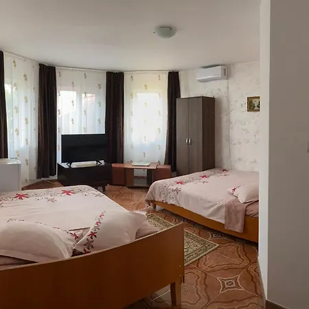 招待所 Casa Dasoveanu