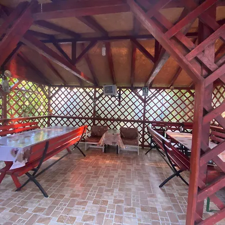 Casa Dasoveanu Guest house